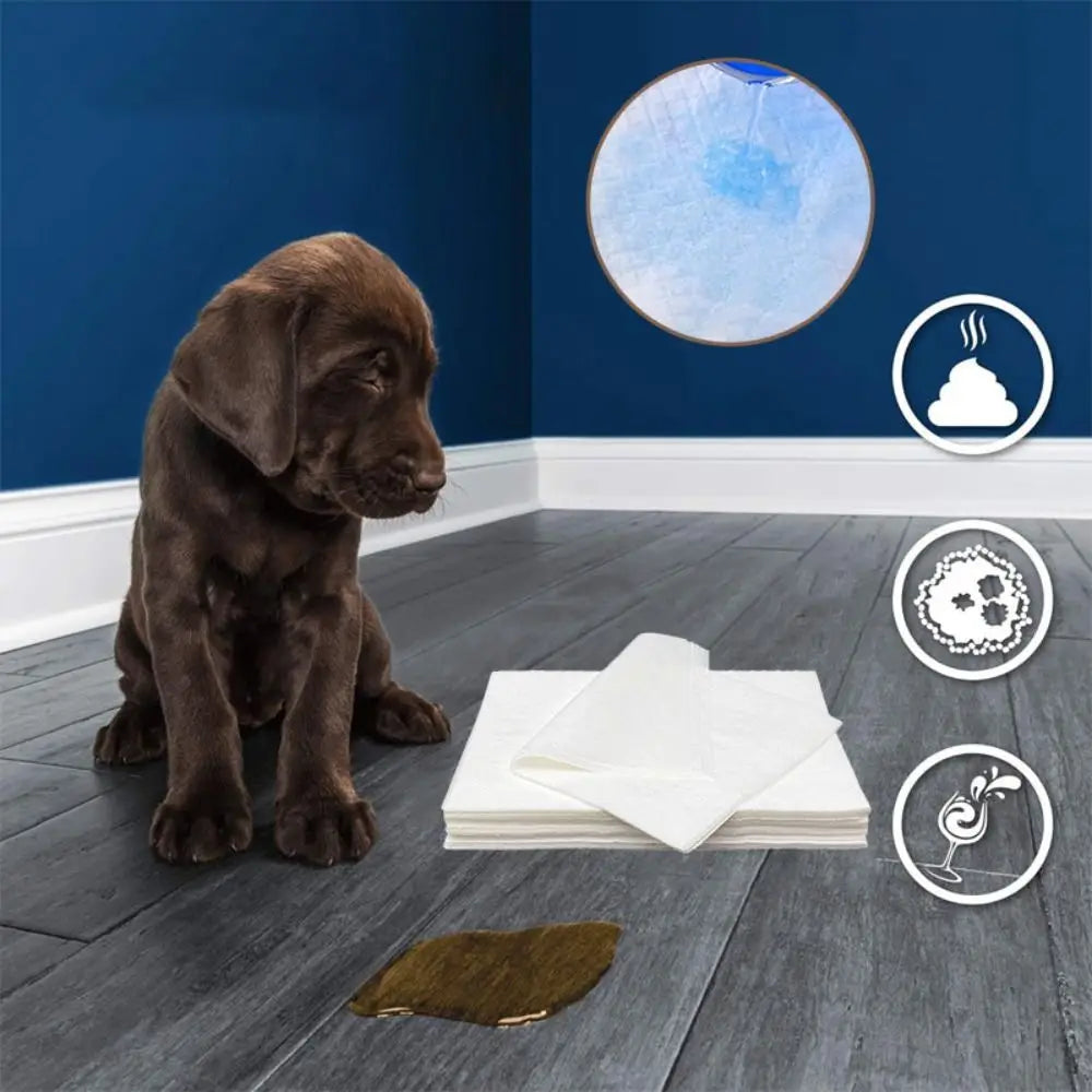 Papel Toalha Ultra Absorvente XixiPet 50 Unidades - Pet Premium™