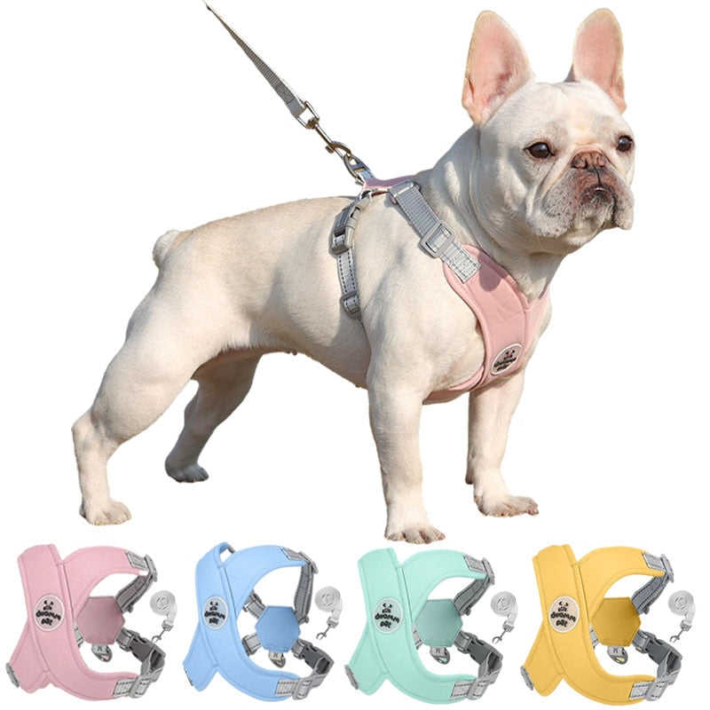 Kit Coleira Peitoral & Guia - Pet Premium™