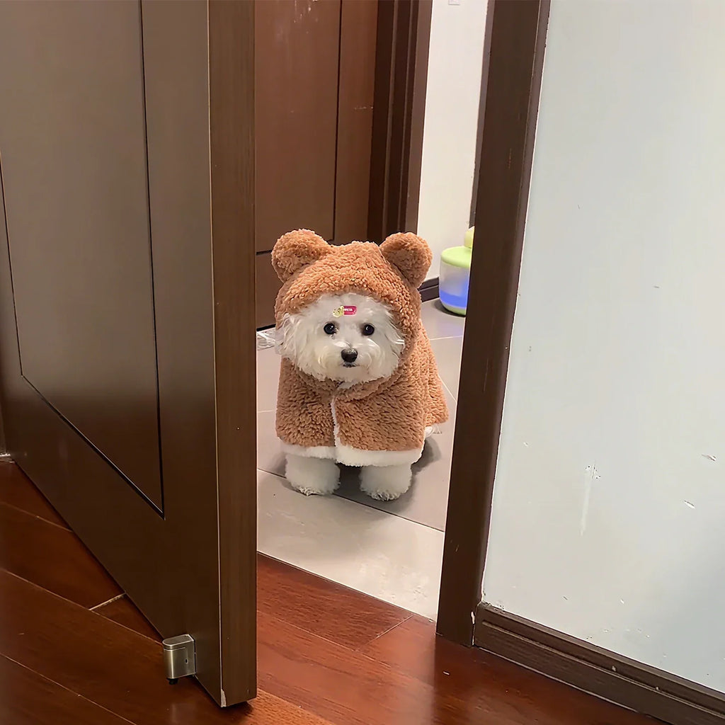 Roupinha Urso  - Pet Premium™