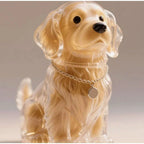 Chaveiro Colecionador de  Pelos - Pet Premium™
