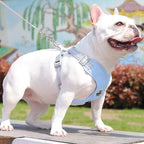 Kit Coleira Peitoral & Guia - Pet Premium™