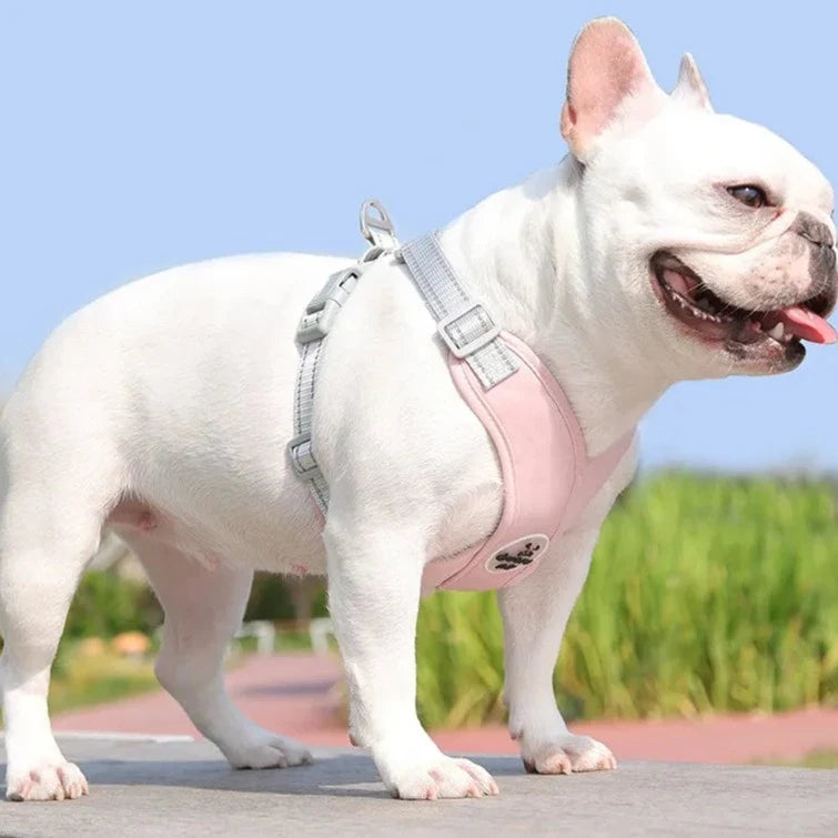 Kit Coleira Peitoral & Guia - Pet Premium™