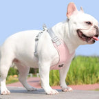 Kit Coleira Peitoral & Guia - Pet Premium™