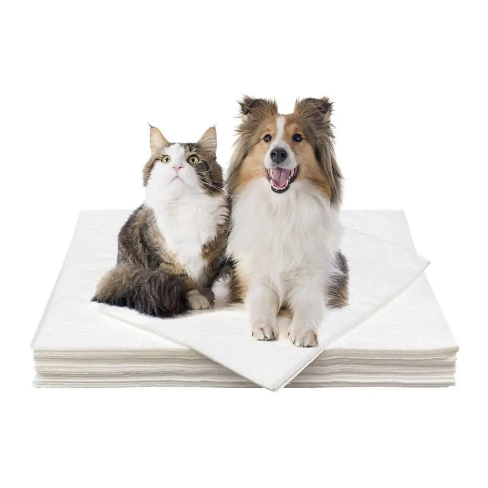Papel Toalha Ultra Absorvente XixiPet 50 Unidades - Pet Premium™