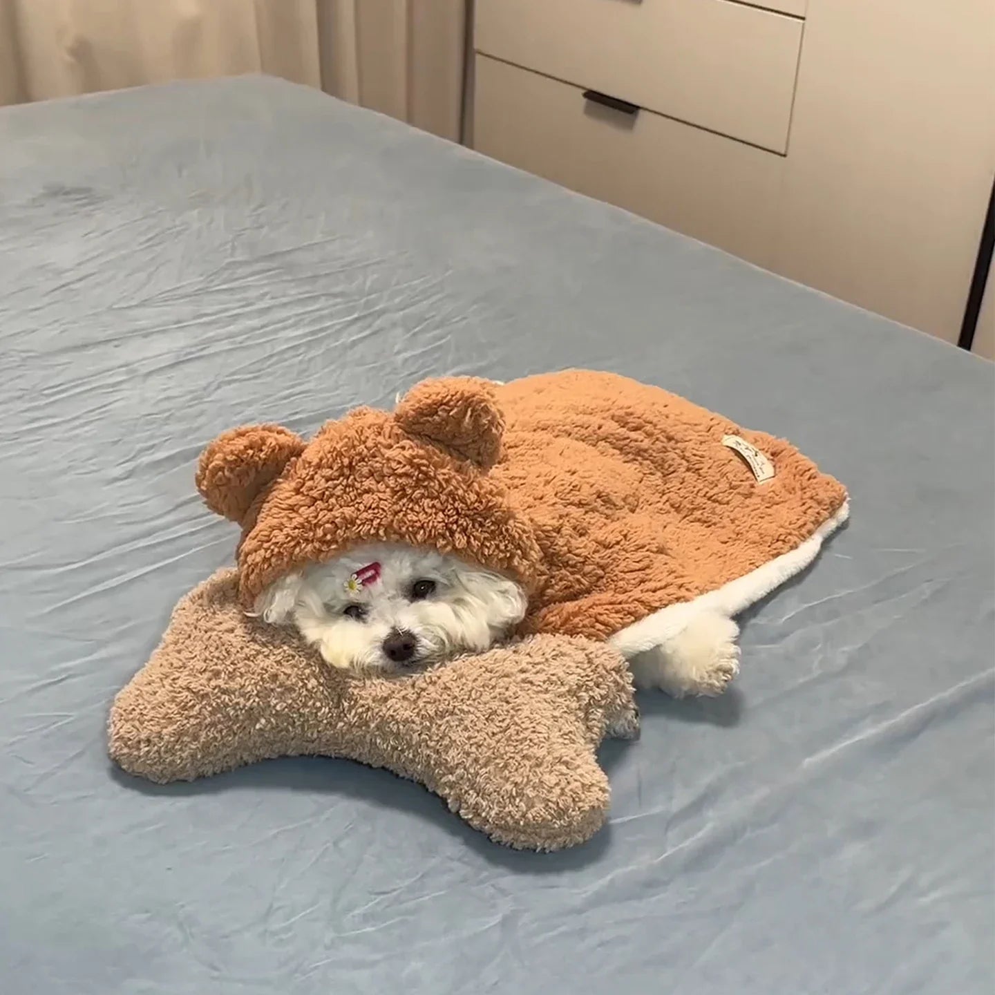 Roupinha Urso  - Pet Premium™