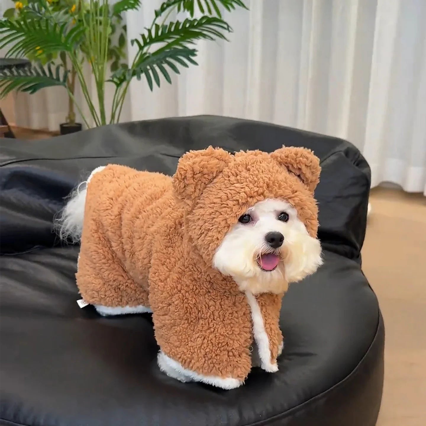 Roupinha Urso  - Pet Premium™