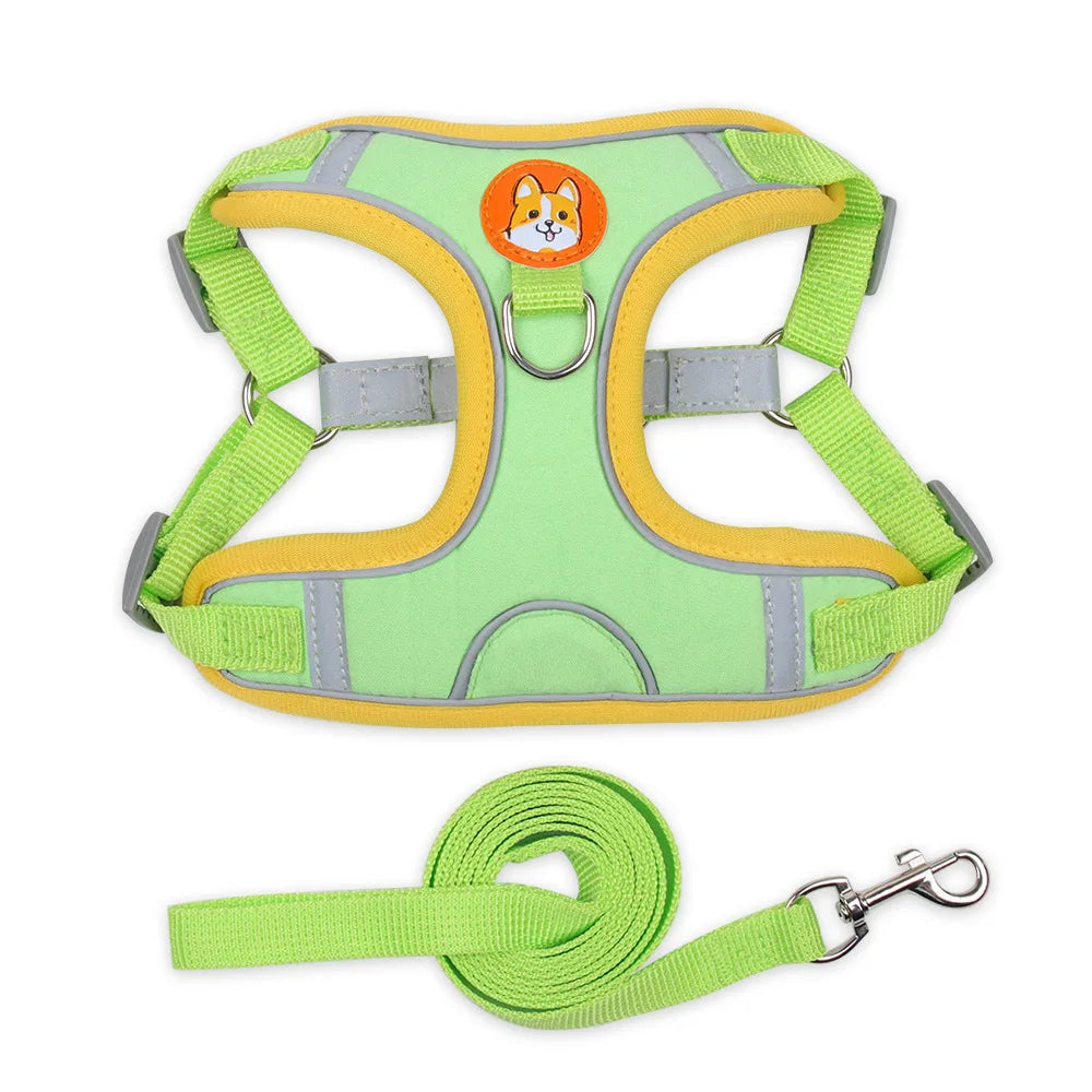 Coleira Ajustável com Guia 150cm em Malha Respirável para Cachorro e Gato – Pet Premium™ | Conforto, Controle e Estilo