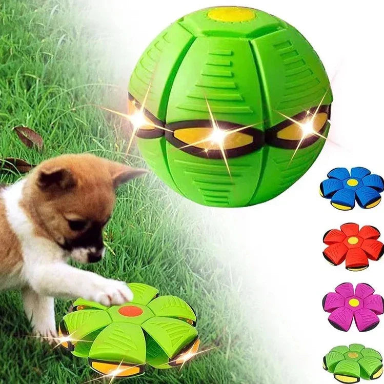 Bola Mágica Interativa para Cães e Gatos – Diversão Garantida | ForPatas