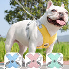 Kit Coleira Peitoral & Guia - Pet Premium™