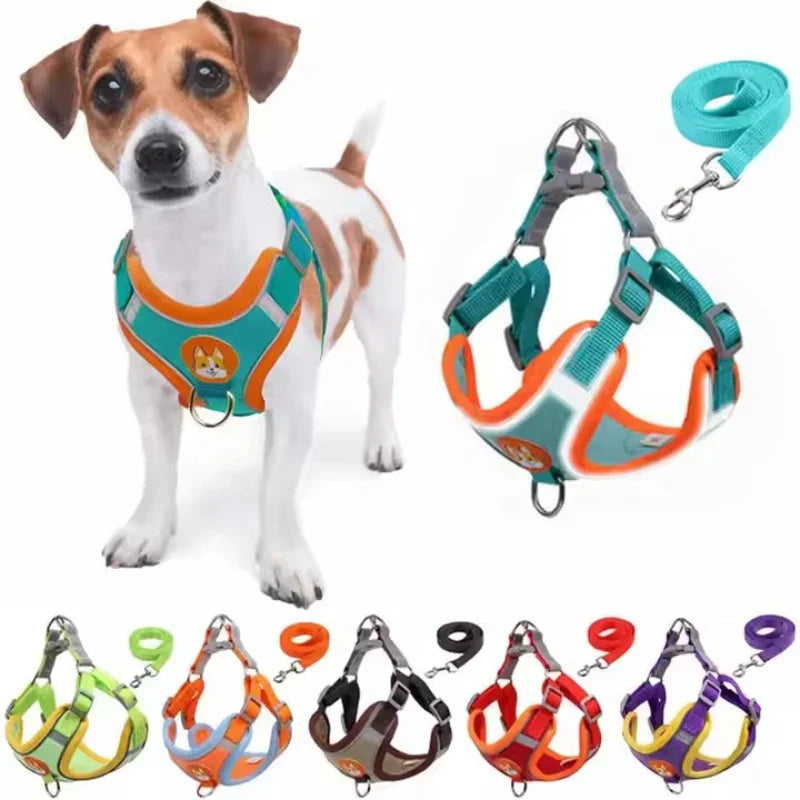Coleira Ajustável com Guia 150cm em Malha Respirável para Cachorro e Gato – Pet Premium™ | Conforto, Controle e Estilo