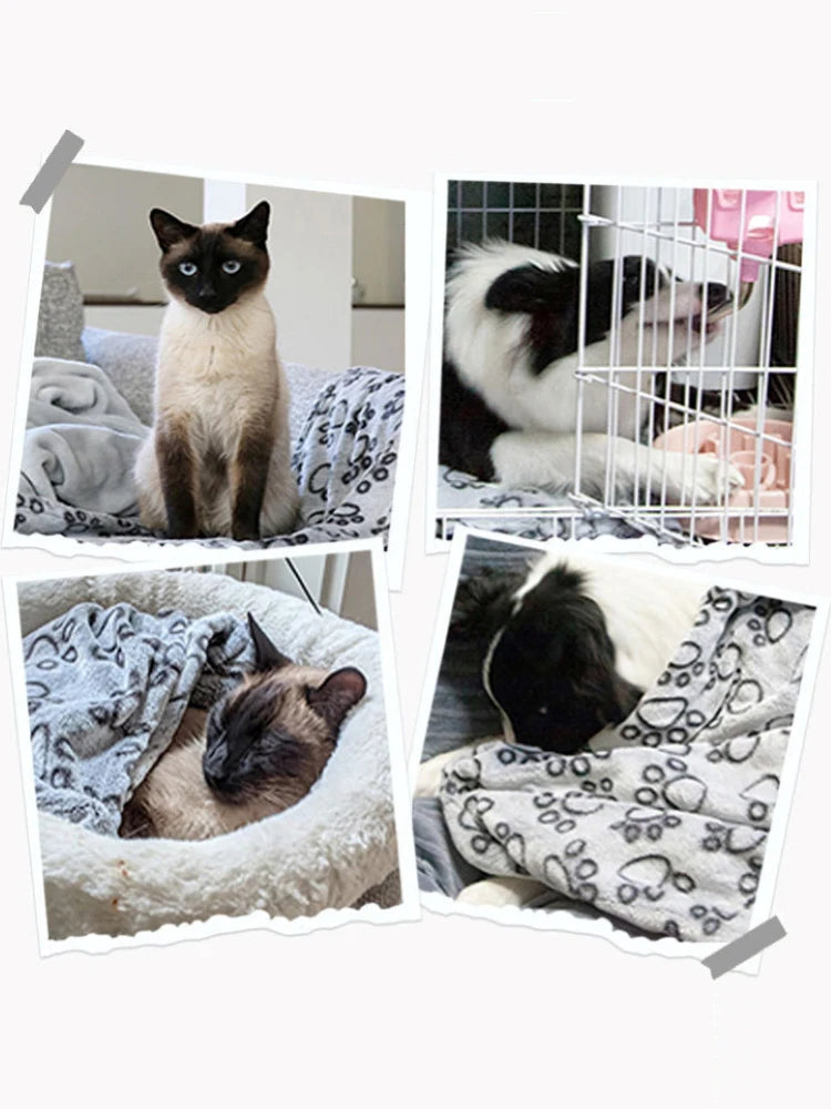 Cobertor Pet Macio Cartoon Cães e Gatos - Pet Premium™