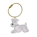 Chaveiro Colecionador de  Pelos - Pet Premium™