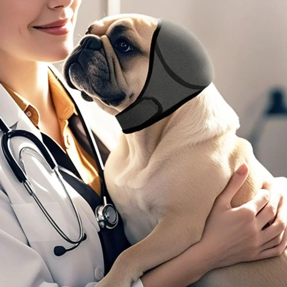 Protetor Auditivo Pet - Pet Premium™