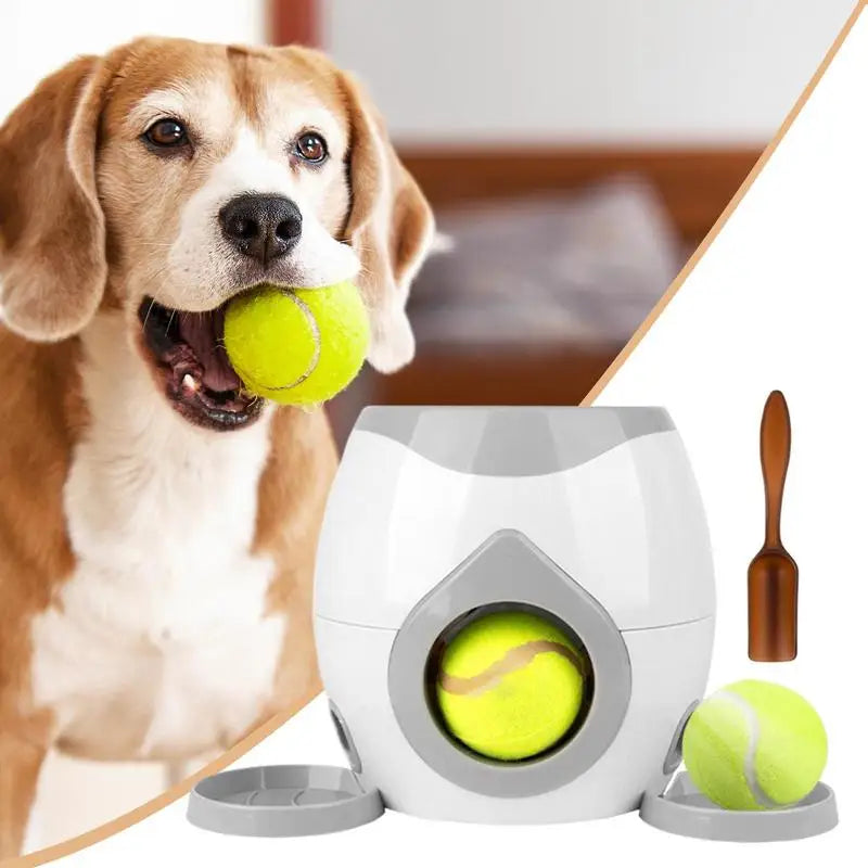 Lançador Automático Interativo - Pet Premium™