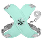 Kit Coleira Peitoral & Guia - Pet Premium™
