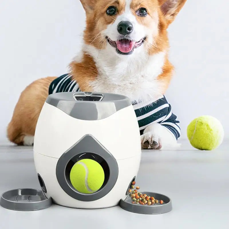 Lançador Automático Interativo - Pet Premium™