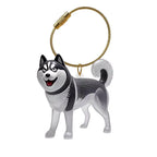Chaveiro Colecionador de  Pelos - Pet Premium™
