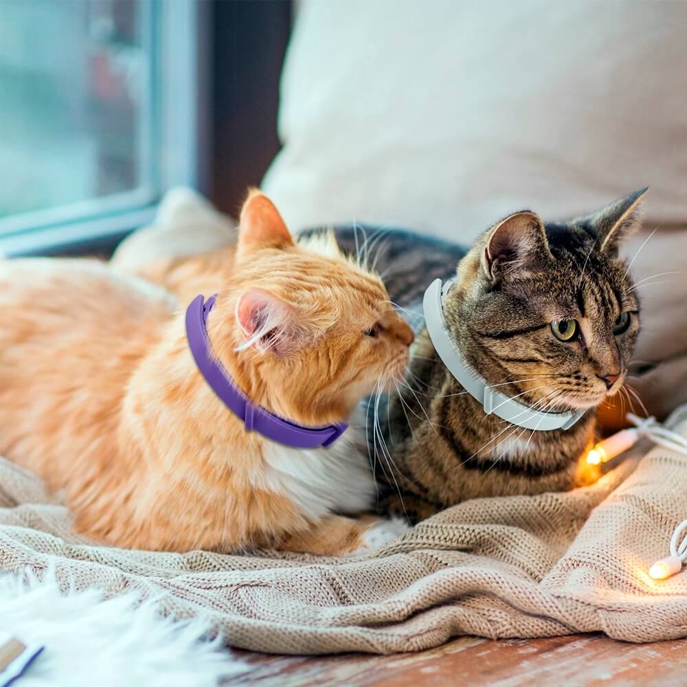 Coleira Calmante Pet Premium™  – Para Ansiedade e Estresse em Cães e Gatos