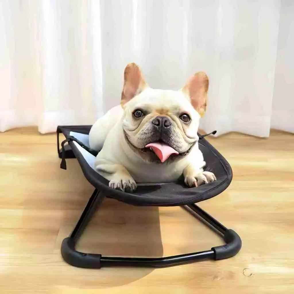 Cama Balanço em Tela Preta para Cães e Gatos Pequenos e Médios – Pet Premium™ | Conforto Suspenso e Relaxamento Diário