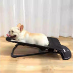 Cama Balanço em Tela Preta para Cães e Gatos Pequenos e Médios – Pet Premium™ | Conforto Suspenso e Relaxamento Diário