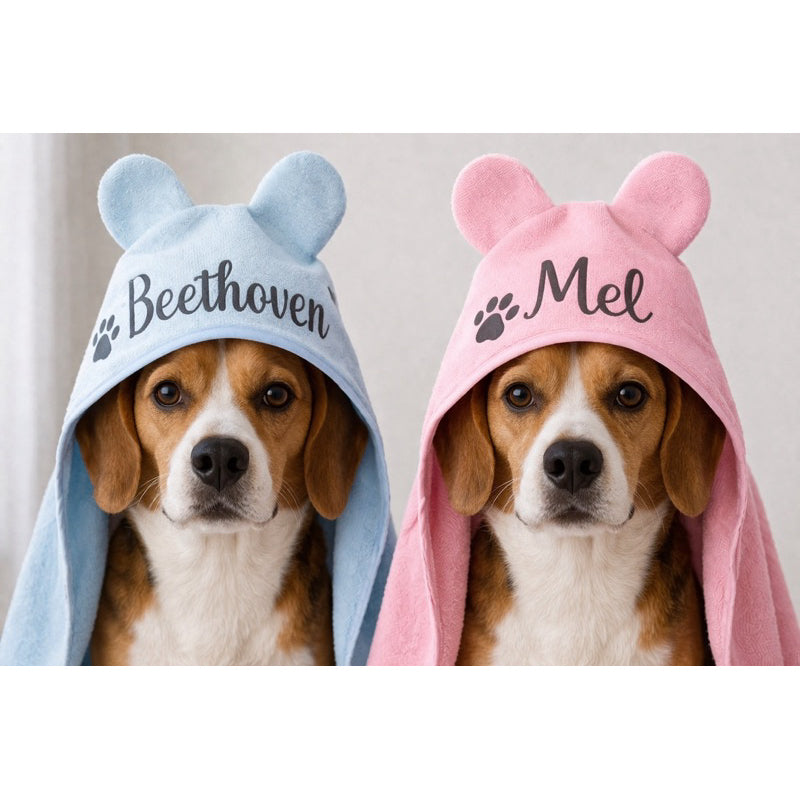 Dois beagles usando toalhas pet personalizadas com nome, azul e rosa, com capuz de orelhinhas