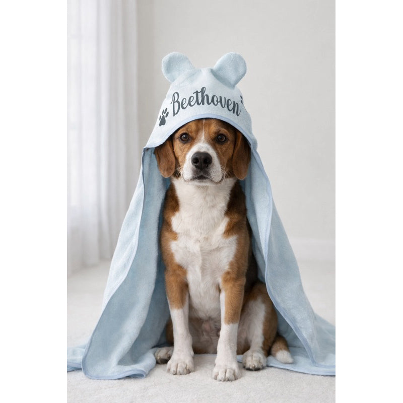 Cachorro sentado com toalha pet azul personalizada com o nome Beethoven e capuz de orelhinhas