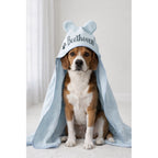 Cachorro sentado com toalha pet azul personalizada com o nome Beethoven e capuz de orelhinhas