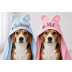 Toalha pet personalizada com nome e capuz de orelhinhas azul e rosa em dois cães beagle