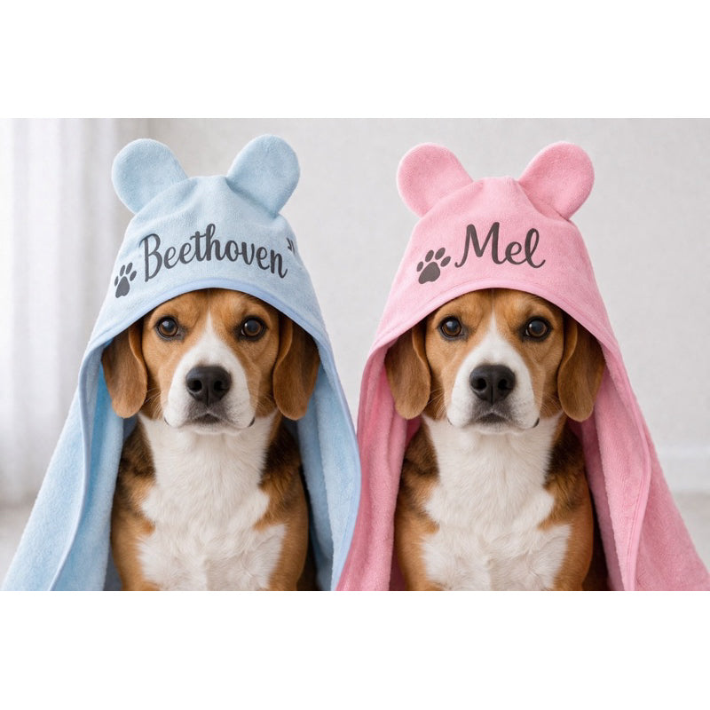 Toalha pet personalizada com nome e capuz de orelhinhas azul e rosa em dois cães beagle