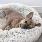 Cama Anti-Ansiedade para Cachorro e Gato - Pet Premium™