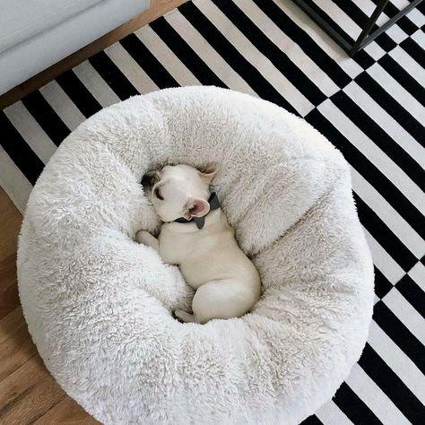 Cama Anti-Ansiedade para Cachorro e Gato - Pet Premium™