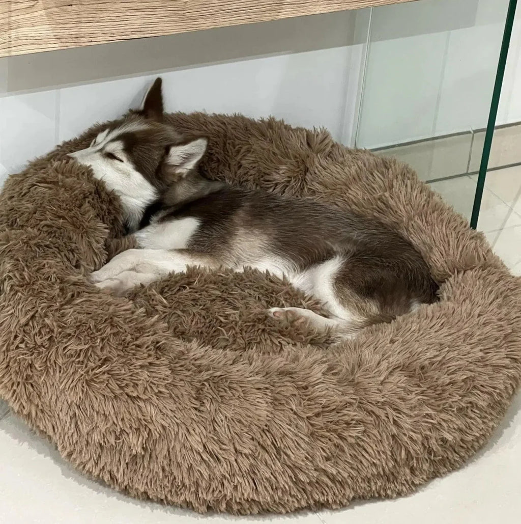 Cama Anti-Ansiedade para Cachorro e Gato - Pet Premium™