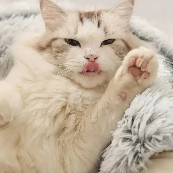 Cama Toca Anti Ansiedade de Pelúcia - Pet Premium™