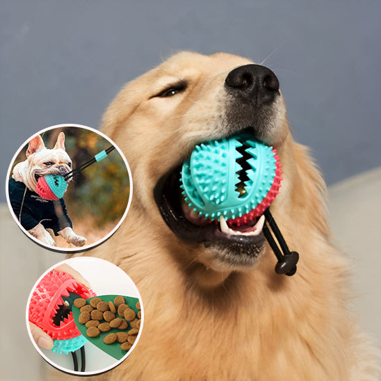Brinquedo de Limpeza Dental e Alívio da Ansiedade para Cães - Pet Premium™
