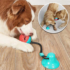 Brinquedo de Limpeza Dental e Alívio da Ansiedade para Cães - Pet Premium™