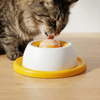 Tapete Interativo para Lamber Pet Bro® – Alimentação Lenta, Relaxamento e Saúde Bucal - comprar online