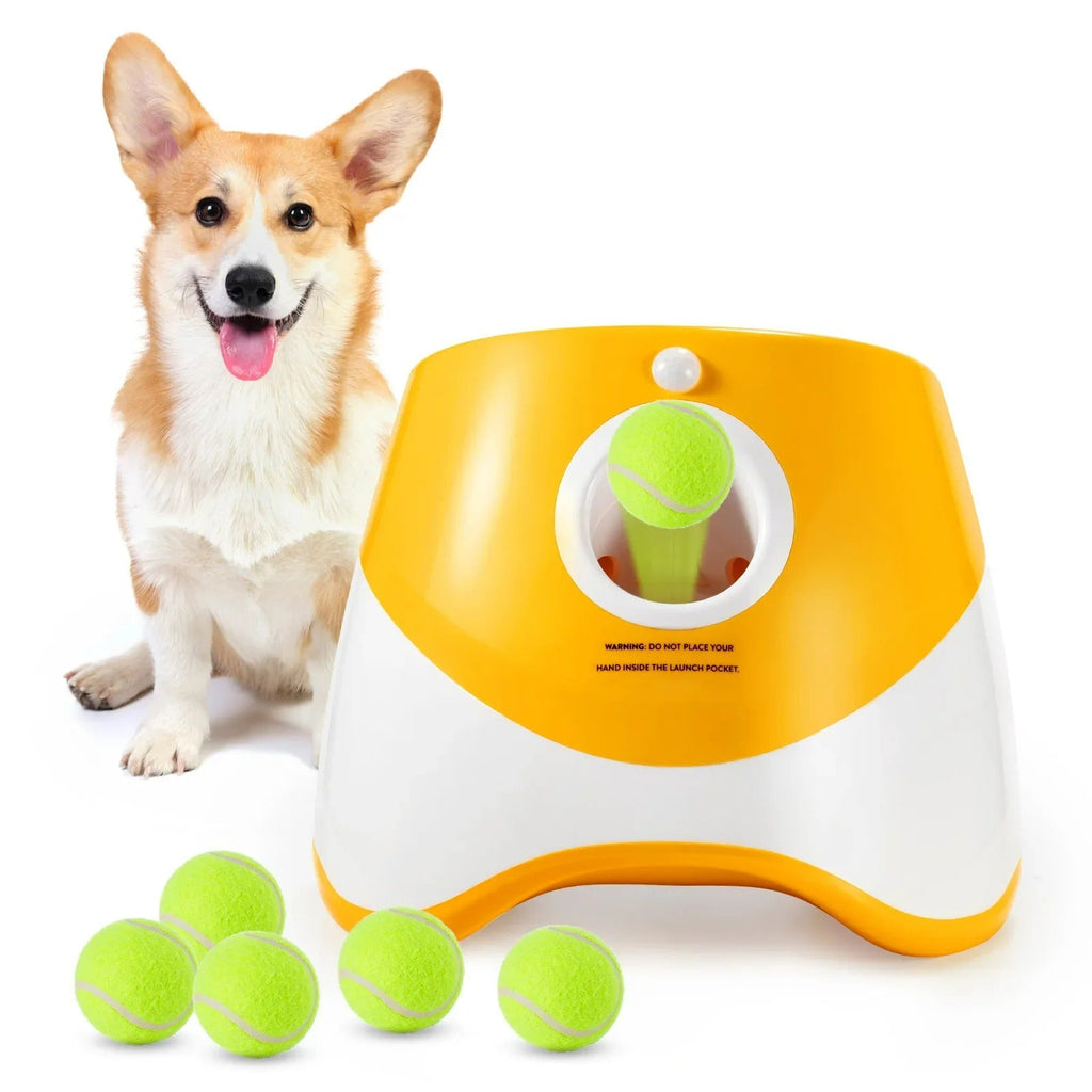 Lançador Automático Interativo - Pet Premium™