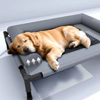 Cama Pet Elevada Comfort - Pet Premium™