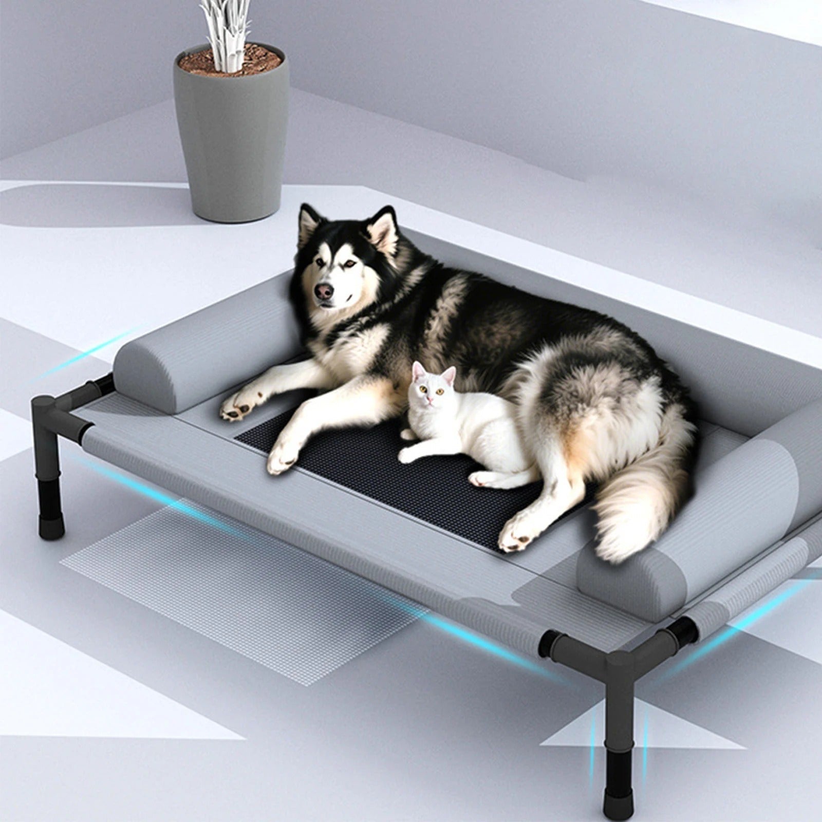 Cama Pet Elevada Comfort - Pet Premium™