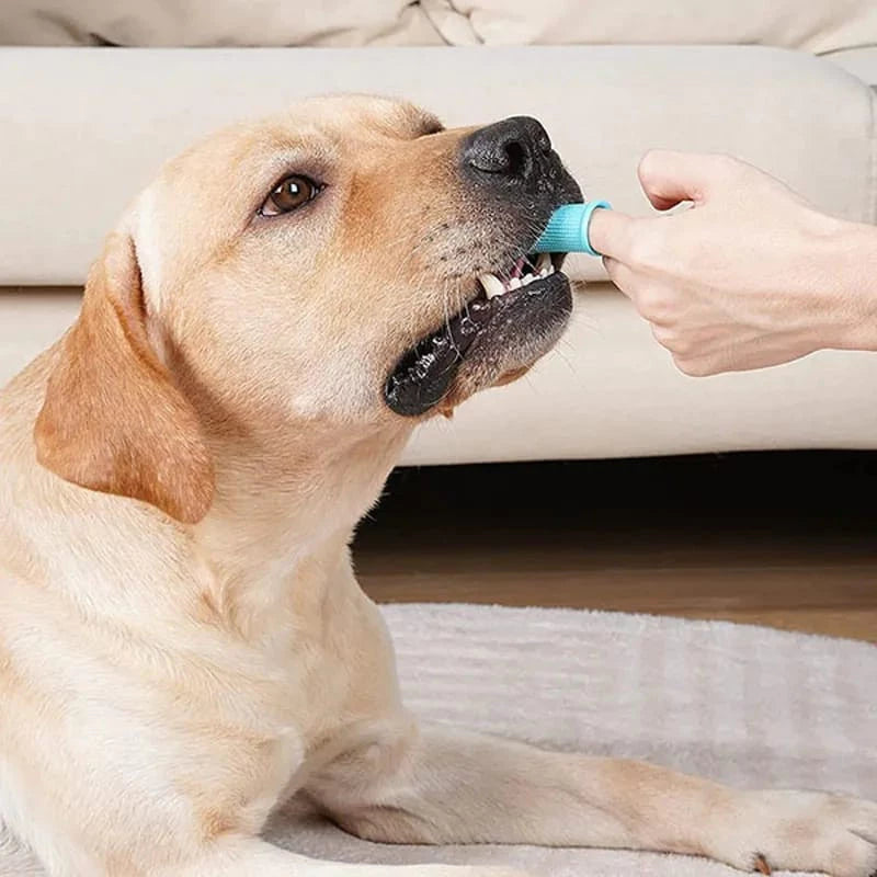 Escova de Dente Pet em Silicone 360° | COMPRE 1 LEVE 2 - Pet Premium™