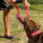 Mordedor para Cães de Grande Porte Pillow Super Forte Resistente Para Cães Fortes Treinamento