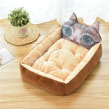 Gato Marrom